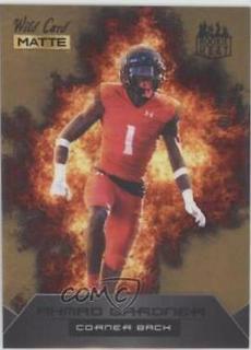 Ahmad Gardner