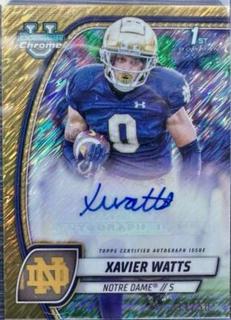 Xavier Watts