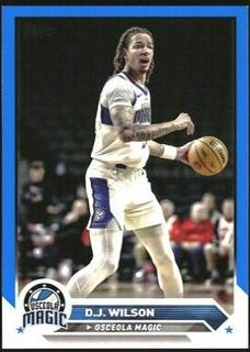 D.J. Wilson