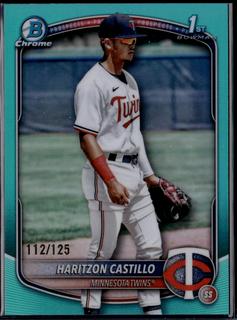 Haritzon Castillo