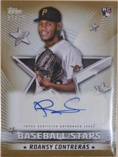 Roansy Contreras