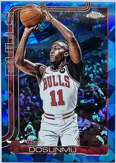 Ayo Dosunmu