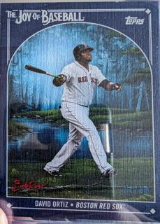 David Ortiz