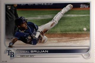 Vidal Brujan