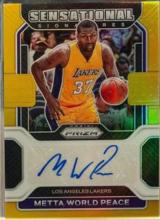 Metta World Peace