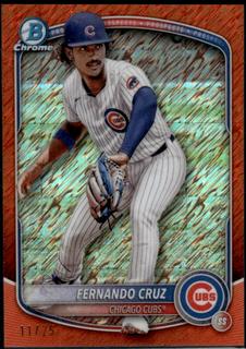 Fernando Cruz