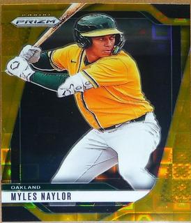 Myles Naylor