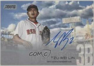 Tzu Wei Lin