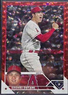 Shohei Ohtani