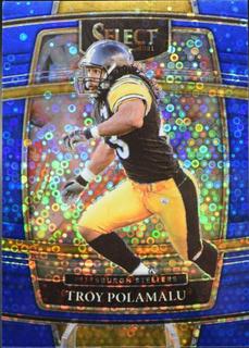 Troy Polamalu