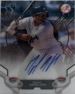Miguel Andujar