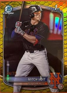 Mitch Voit