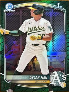 Dylan Fien