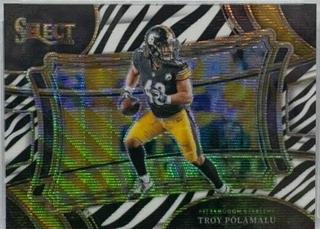 Troy Polamalu