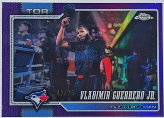 Vladimir Guerrero Jr.