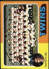 Twins Team