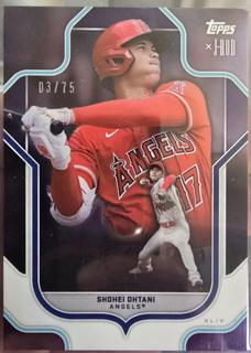 Shohei Ohtani