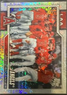 Team Card