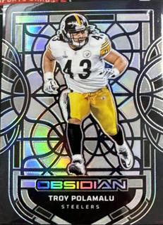 Troy Polamalu