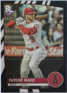 Taylor Ward