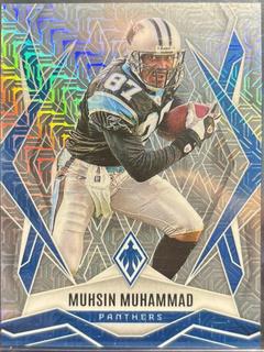 Muhsin Muhammad