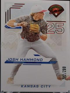 Josh Hammond