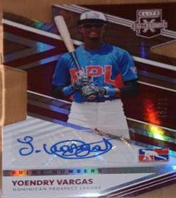 Yoendry Vargas
