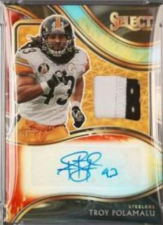 Troy Polamalu