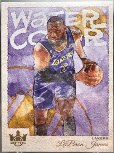 LeBron James #28
