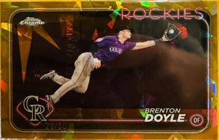 Brenton Doyle