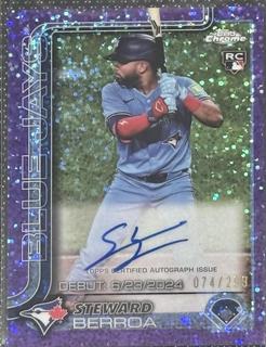 Steward Berroa