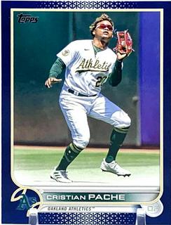 Cristian Pache