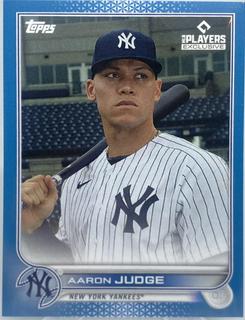 Aaron Judge