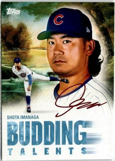 Shota Imanaga