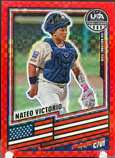 Nateo Victorio