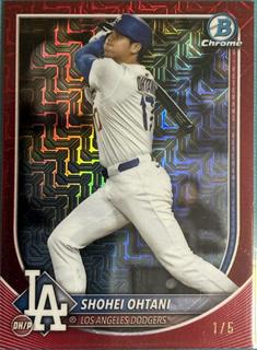 Shohei Ohtani