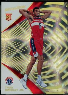 Troy Brown Jr.