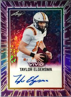 Taylor Elgersma