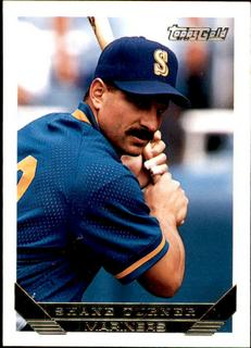 Shane Turner