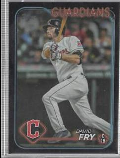 David Fry