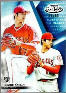 Shohei Ohtani