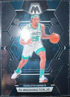 PJ Washington Jr.