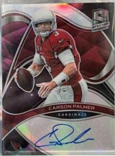 Carson Palmer