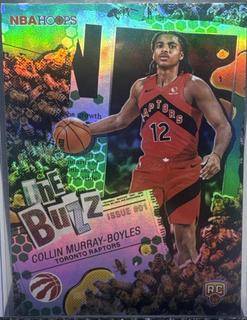Collin Murray-Boyles