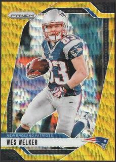 Wes Welker
