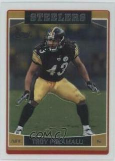 Troy Polamalu