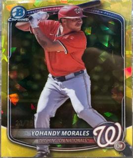 Yohandy Morales