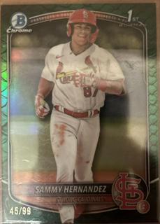 Sammy Hernandez