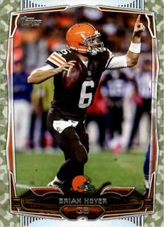 Brian Hoyer