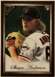 Shaun Anderson